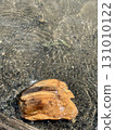 fallen leaves floating on the river 131010122