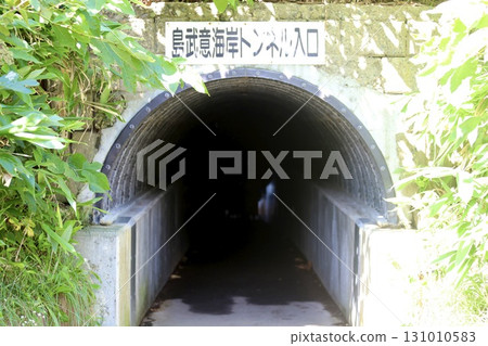 Shimamuki Coast Observatory Pedestrian Tunnel, Demisaki Town, Shakotan Town, Hokkaido 131010583