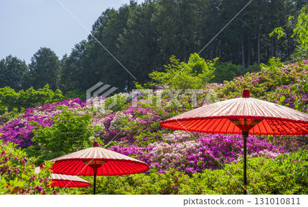Azalea at Mimurotoji Temple in Kyoto 131010811