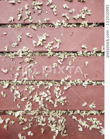 Fallen acacia flowers creating a natural pattern on a wooden surface in prague Karlin 131010895