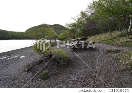 群馬縣赤城山小沼環行步道，小沼北側附近，2025年6月1日 131010973