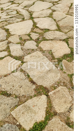 Stone pavement with grass growing in the cracks in high tatras mountains, slovakia 131010991