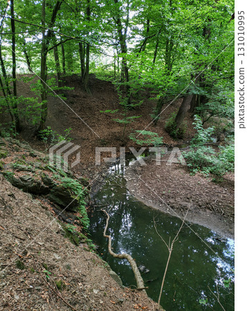 Small stream flowing near mnisek pod brdy castle in czechia Small stream flowing near mnisek pod brdy castle in czechia 131010995