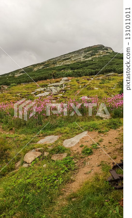 Hiking trail leading to rysy mountain in high tatras, slovakia 131011011
