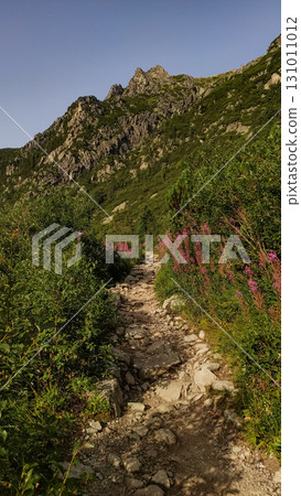 Hiking trail leading to rysy peak in the high tatras mountains, slovakia 131011012
