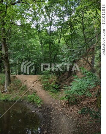 Hiking trail entering lush green forest near castle mnisek pod brdy Hiking trail entering lush green forest near castle mnisek pod brdy 131011018