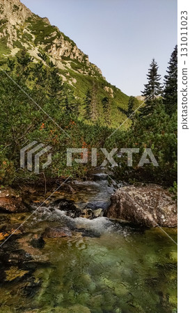 Crystal clear mountain stream flowing from rysy peak in high tatras, slovakia 131011023