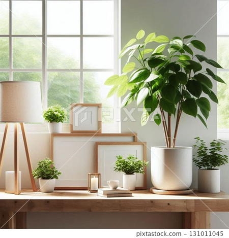 A natural interior space with natural light streaming in 131011045