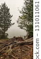 Fog rolling over strbske pleso lake in the high tatras mountains of slovakia 131011061