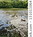 Ducks swimming in pond near castle mnisek pod brdy in czech republic 131011064