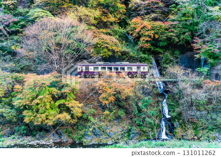 渡良瀨溪谷鐵道:穿越紅葉的列車(高中~神戶) 渡良瀨溪谷鐵道:穿越紅葉的列車(高中~神戶) 131011262