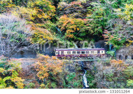 渡良瀨溪谷鐵道:穿越紅葉的列車(高中~神戶) 渡良瀨溪谷鐵道:穿越紅葉的列車(高中~神戶) 131011264