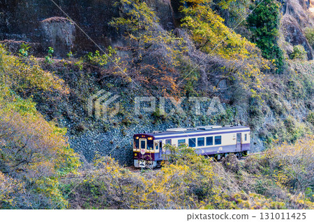 Watarase Keikoku Railway: A train running through autumn leaves (Kochu-Kobe) Watarase Keikoku Railway: A train running through autumn leaves (Kochu-Kobe) 131011425