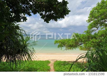鳩間島矢良濱海灘入口處的熱帶風光 131011590