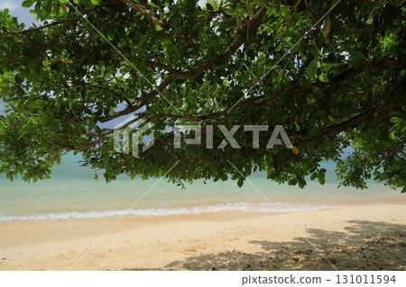 The beautiful clear sea of Yarahama Beach on Hatoma Island, shaded by green leaves 131011594