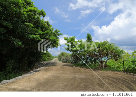 A tropical-looking road leading to Narari Beach on Hatoma Island 131011601