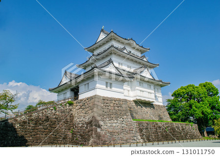 神奈川縣小田原城 131011750
