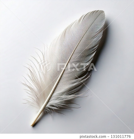 簡潔乾淨的白色羽毛 131011776