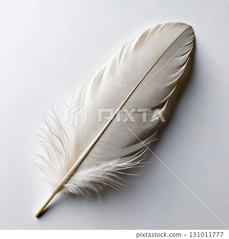 Elegantly floating white feathers 131011777