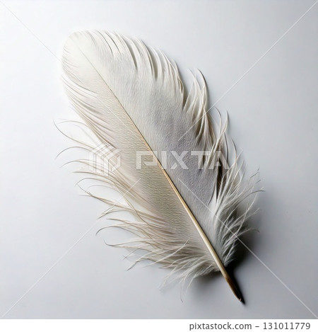 潔白的羽毛，散發著精緻優雅的氣息 131011779