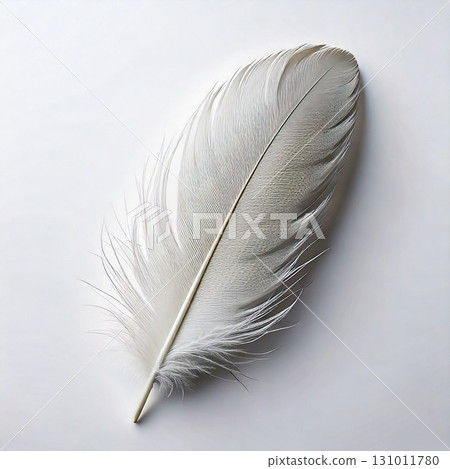 White feathers with a pure and sophisticated atmosphere 131011780