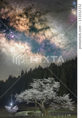 star travel 131012152