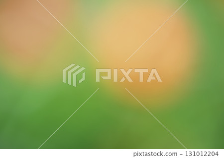 Green gradient background 131012204