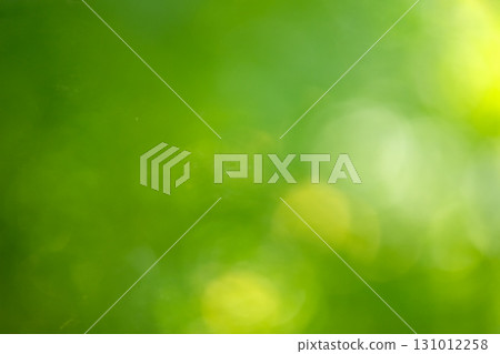 Green background material with the image of bokeh balls Green background material with the image of bokeh balls 131012258