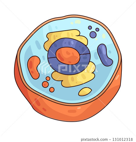 illustration of Animal Cell 131012318