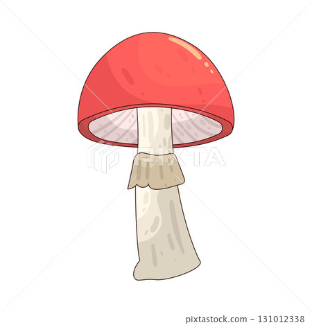 illustration of Mushroom 131012338