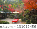 Landscape with autumn leaves 131012456