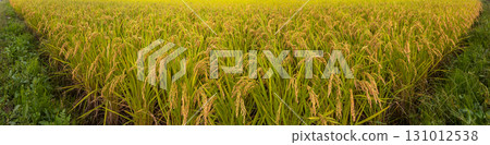 250919上野平拉073-081P 131012538