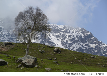 Sonamarg is the golden meadow of Kashmir at an altitude of 2,740 meters above sea level. It is a land of natural beauty with pine forests, meadows and pristine white glaciers. 131012891
