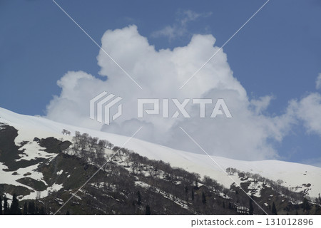 Sonamarg is the golden meadow of Kashmir at an altitude of 2,740 meters above sea level. It is a land of natural beauty with pine forests, meadows and pristine white glaciers. 131012896