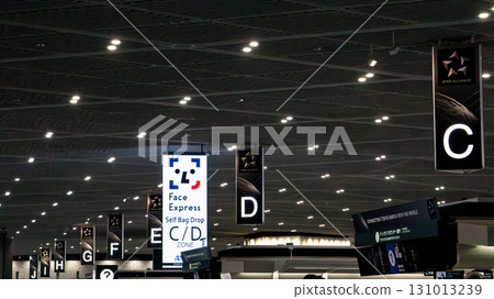 成田機場：機場報到櫃檯標識 131013239