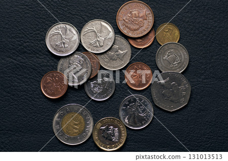 黑色皮革上的加拿大硬幣 131013513