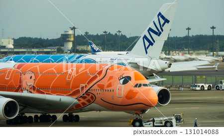 Flying Honu 和 ANA 飛機齊聚的機場 131014088