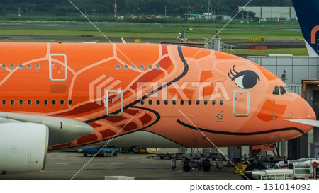 ANA's Flying Honu aircraft parked 131014092