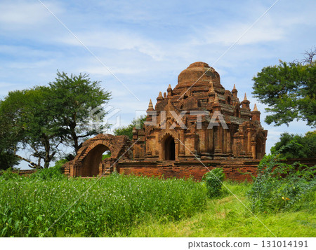 Dhammayangyi Temple amid the lush green grass and trees in Bagan Dhammayangyi Temple amid the lush green grass and trees in Bagan 131014191