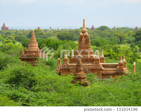 Temple rooftops rising from the jungle in Myanmar Temple rooftops rising from the jungle in Myanmar 131014196