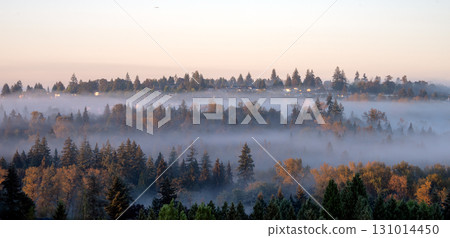 Suburban area of residential houses on foggy morning in British Columbia Suburban area of residential houses on foggy morning in British Columbia 131014450
