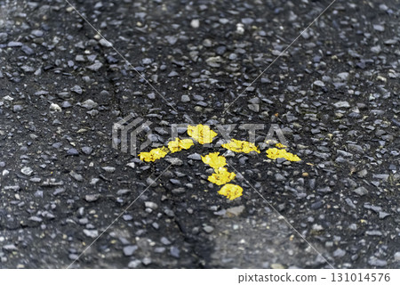 Yellow arrow on the asphalt Yellow arrow on the asphalt 131014576