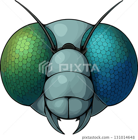 蜻蜓頭插圖 蜻蜓頭插圖 131014648