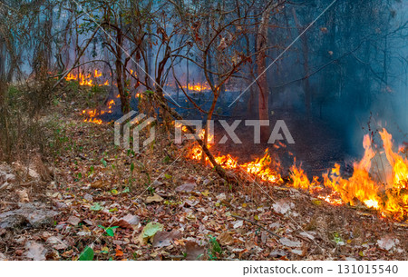 Wildfires release carbon dioxide (CO2) emissions and other greenhouse gases (GHG) that contribute to climate change. 131015540