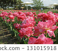 Red flower	 131015918