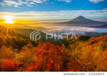 Shindo Pass, sea of clouds, autumn leaves, Mt. Fuji, Fujiyama Twin Terrace [Fuefuki City, Yamanashi Prefecture] 131016833
