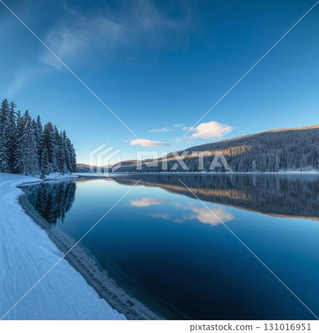 A winter natural landscape with clear air and silence 131016951
