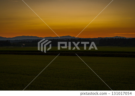 農村染在夕陽下 131017054