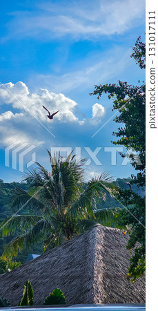 A bird soars over a thatched roof in a beautiful and peaceful tropical paradise. 131017111