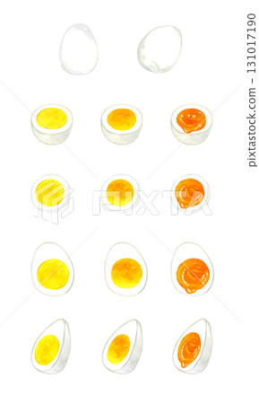 A set of boiled eggs with various boiling times. A collection of hand-drawn watercolor illustrations of egg dishes. A set of boiled eggs with various boiling times. A collection of hand-drawn watercolor illustrations of egg dishes. 131017190